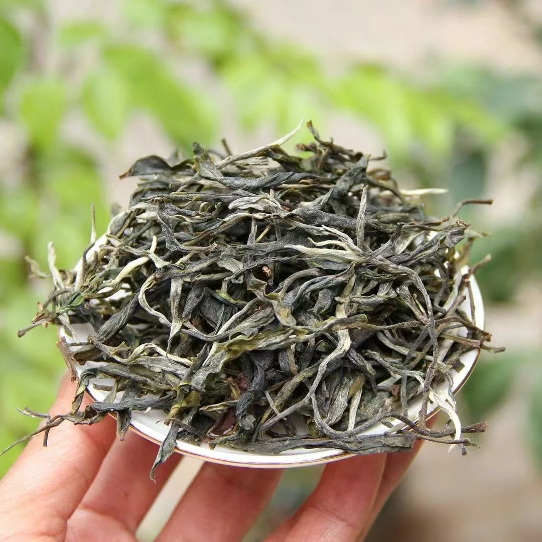 2024年云南早春古树普洱生茶 散茶 明前生态大叶种晒青茶叶礼盒装