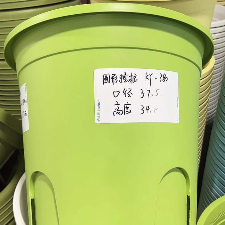 正品圆控口38高34果绿无托3只
