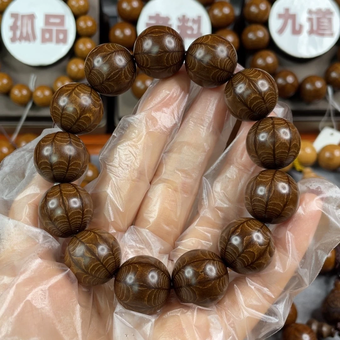 六道木聚****A九道枯树， 毕业1.8