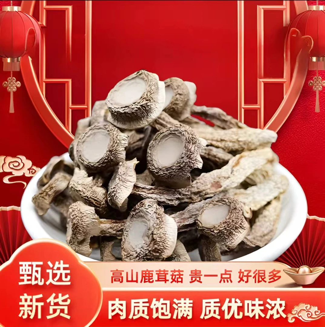 高山鹿茸菇50g*4包干货煲汤脆嫩