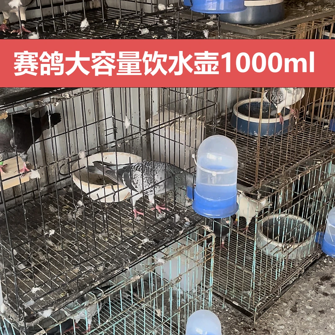鸽子饮水器八哥鹦鹉鸟喂食器鸟用自动喂水器水壶鸽具用品食盒食槽