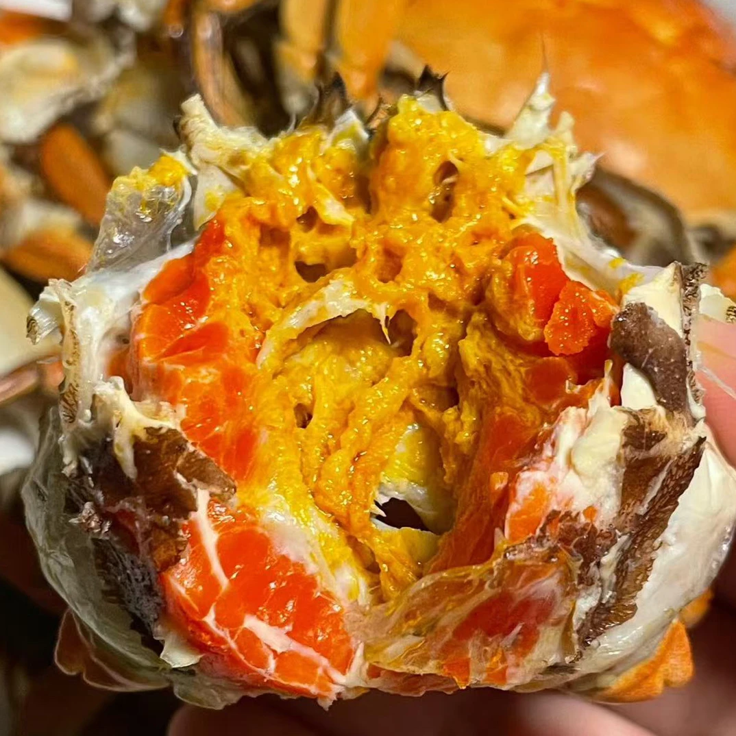 活蟹现货 大闸蟹母蟹 鲜活河蟹2.5-2.6两8只起 江苏螃蟹顺丰发货