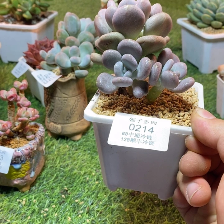 0214啊啊啊啊啊啊啊啊啊啊