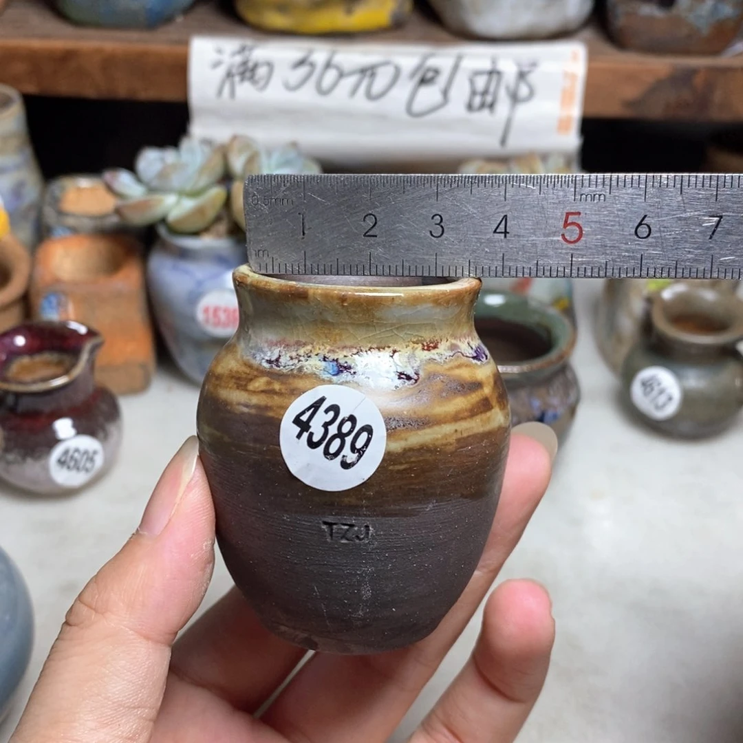 拍5送一个小礼物