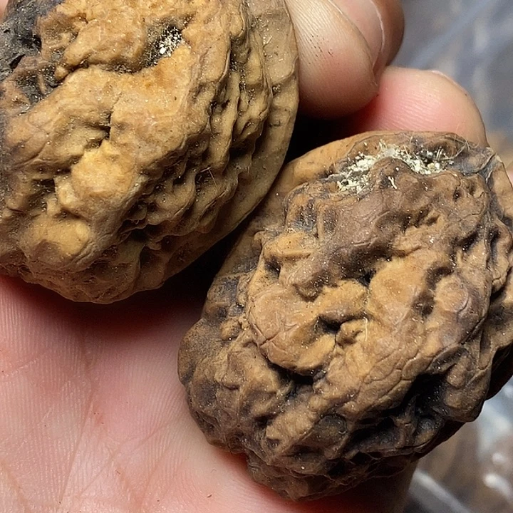 文玩核桃把件志成云铁文玩46