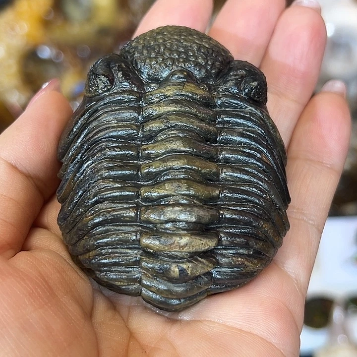 J***n石材家居用品装饰摆件虫