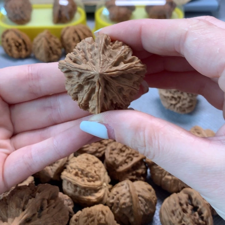 八***桂文玩核桃吊坠异形单只