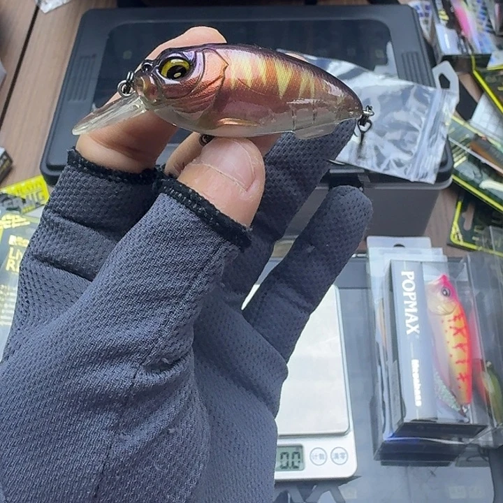 闪购专拍（图片为主）