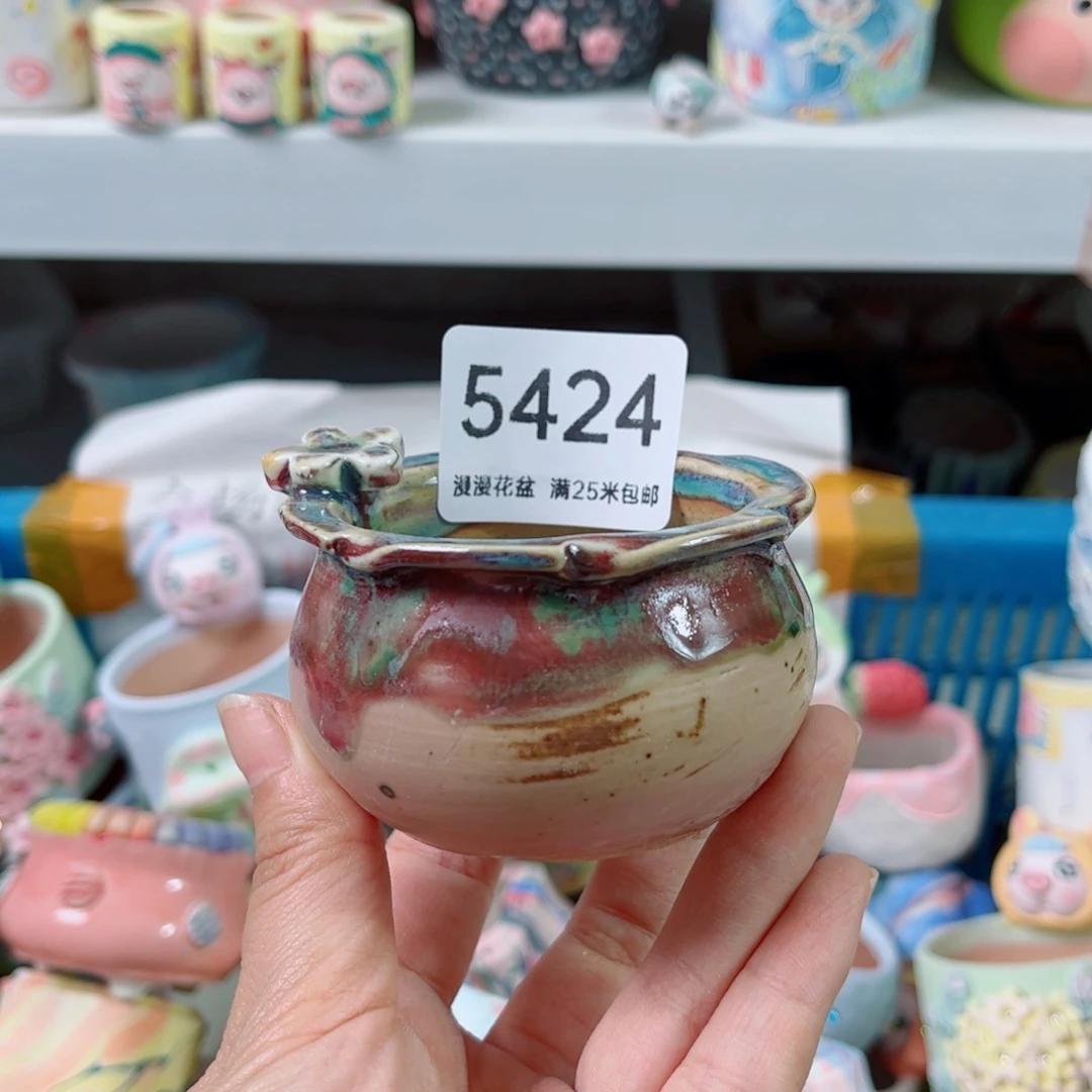 景德镇手工制作5424口5.5