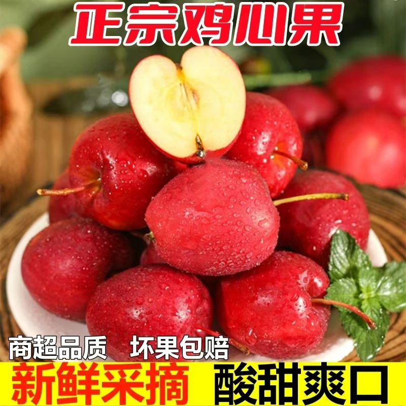 水果鸡心果东北鸡心果批发酸甜可口脆孕妇水果新鲜采摘坏果包赔
