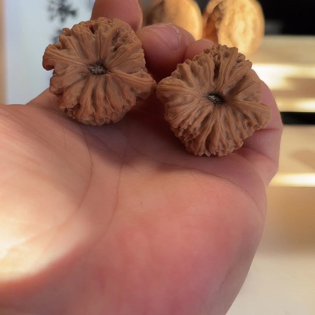 林***夕桃核把件南将36凹底