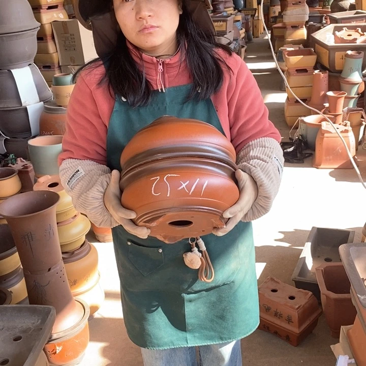 紫砂花盆盆栽花卉苗木种植