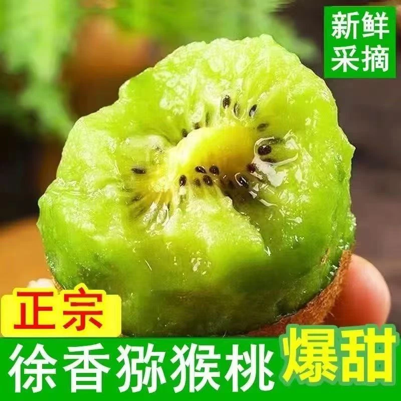 陕西眉县新鲜应季徐香猕猴桃绿心奇异果清甜可口