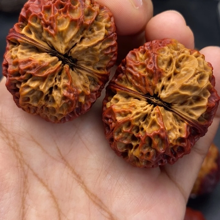 文玩核桃把件40尺铁绣球