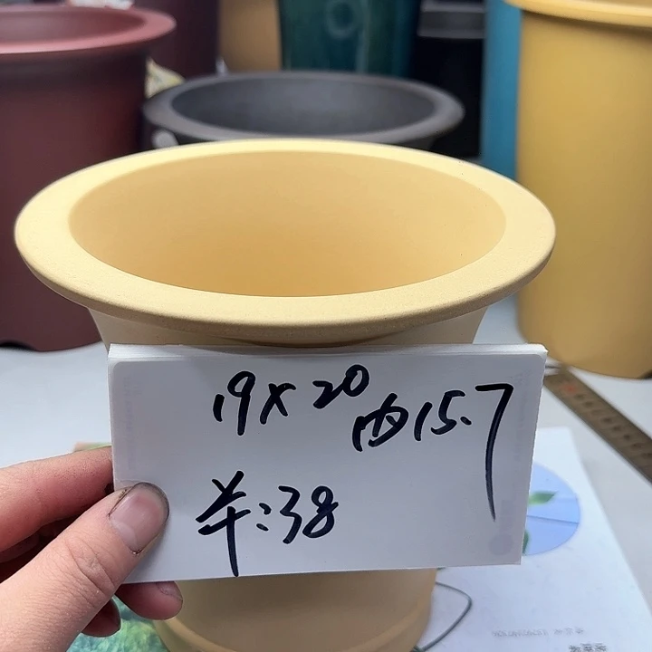 紫砂2222222222222222