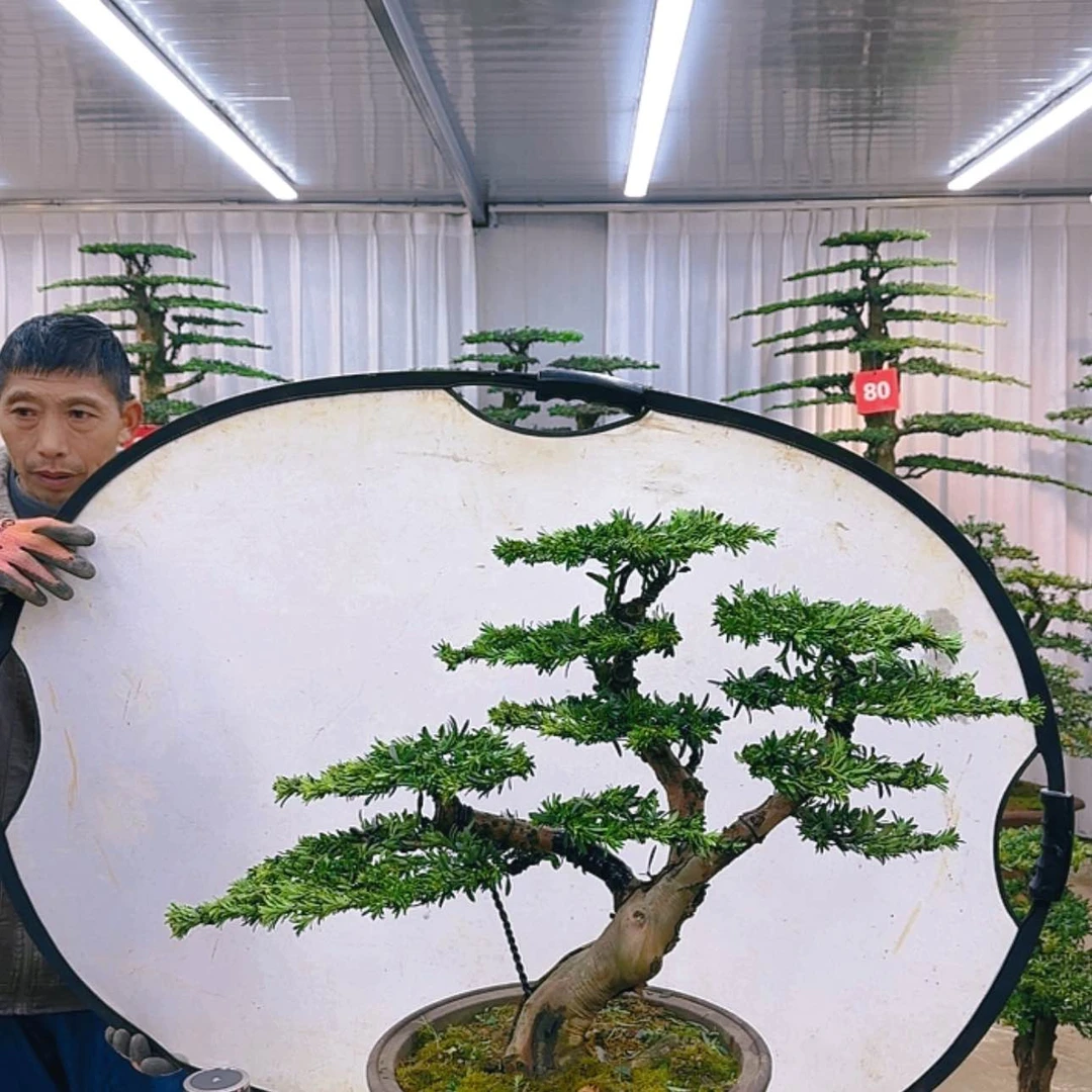 【闪购商品】000000