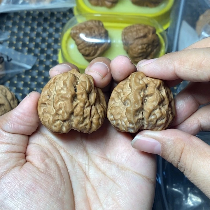 文玩核桃把件蛤蟆40全