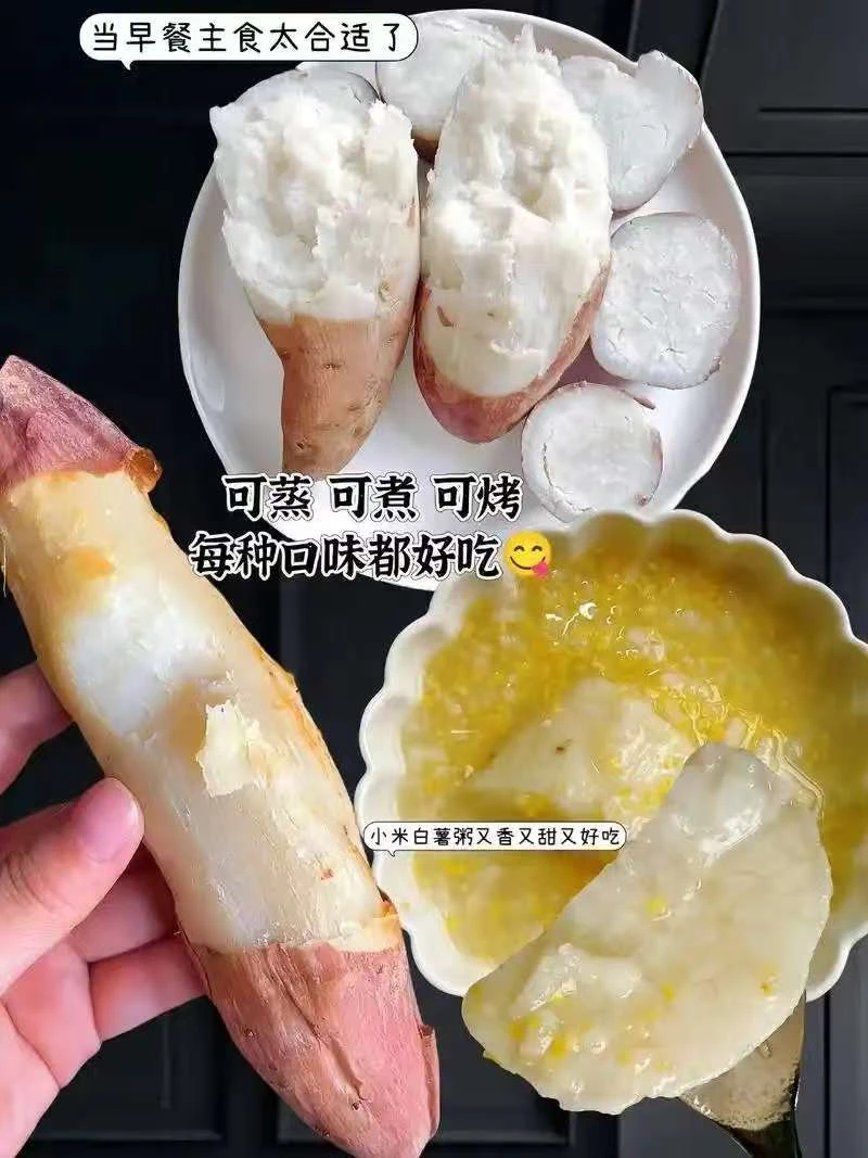 冰糖心哈密蜜薯新鲜现挖沙地白蜜薯地瓜香甜软糯