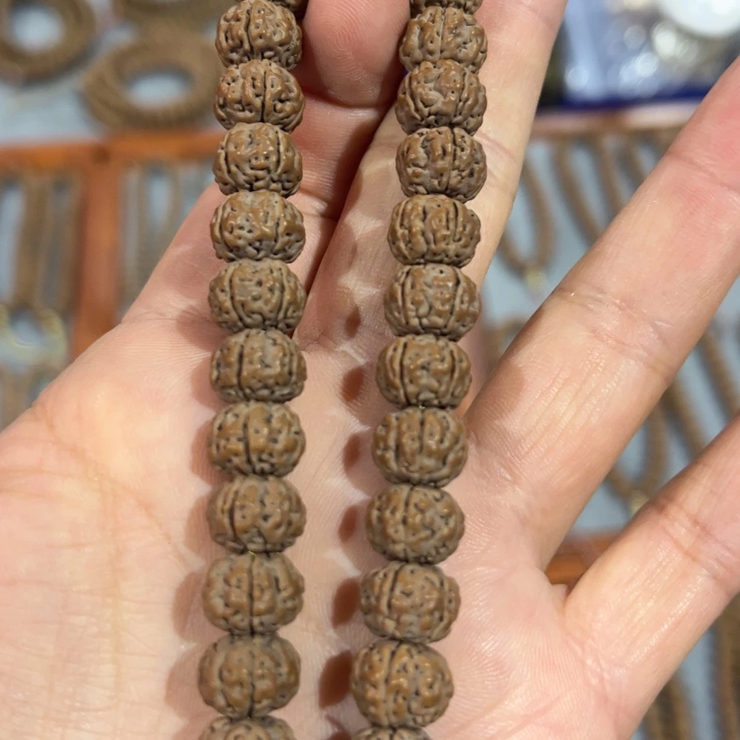 9树王手持全品精选
