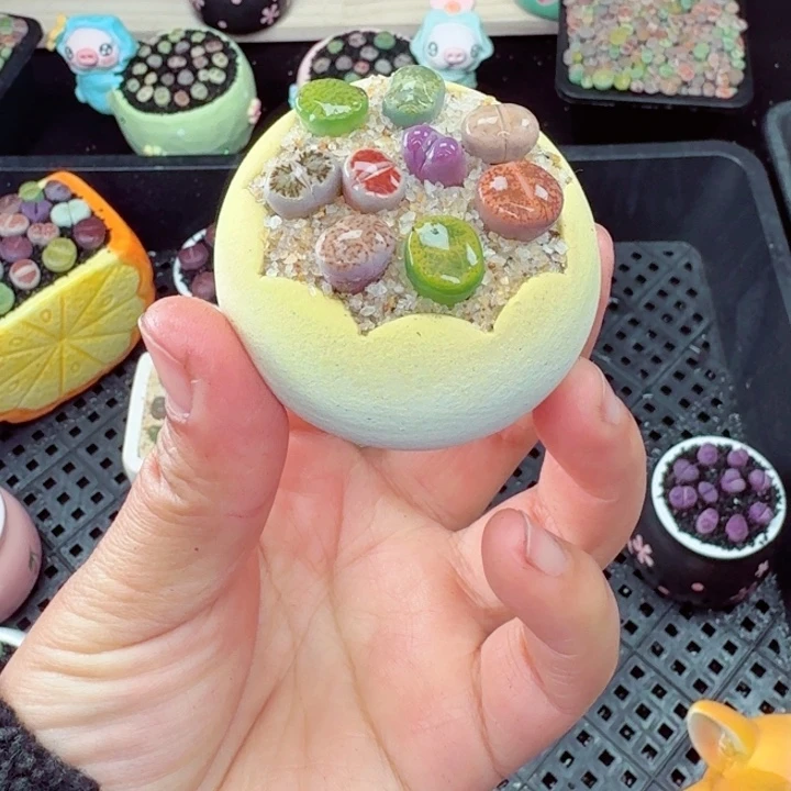 602零下地区记得拍保温箱