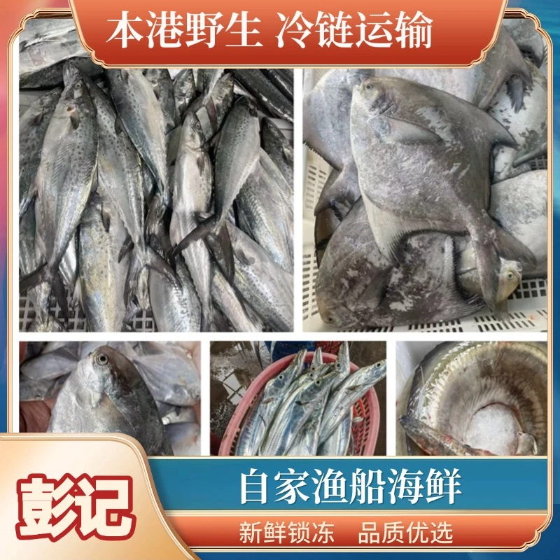 野生自然深海皮皮虾