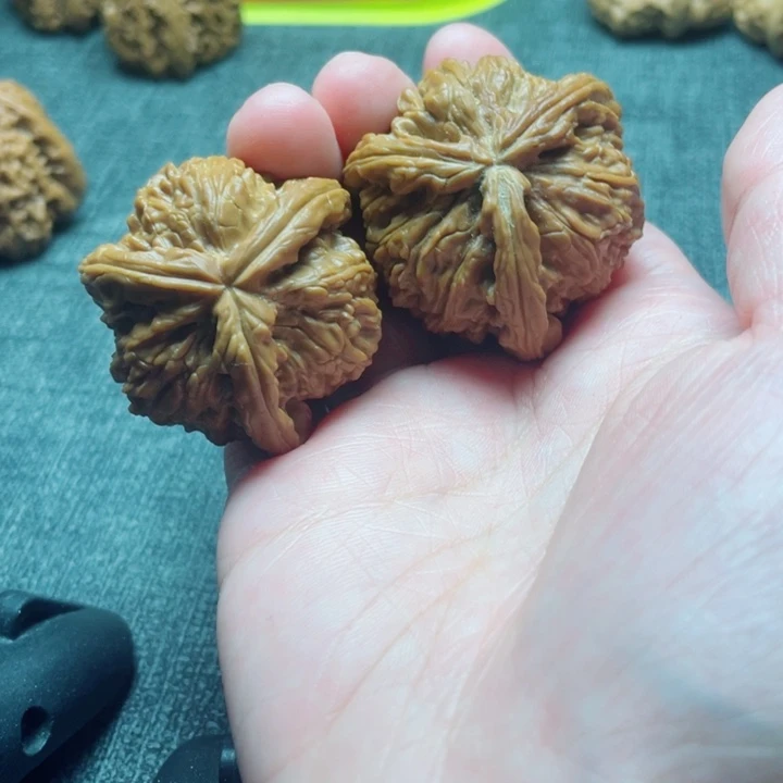 手工三棱白狮子三棱