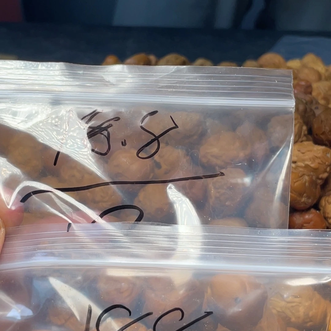 橄榄核手串/手链