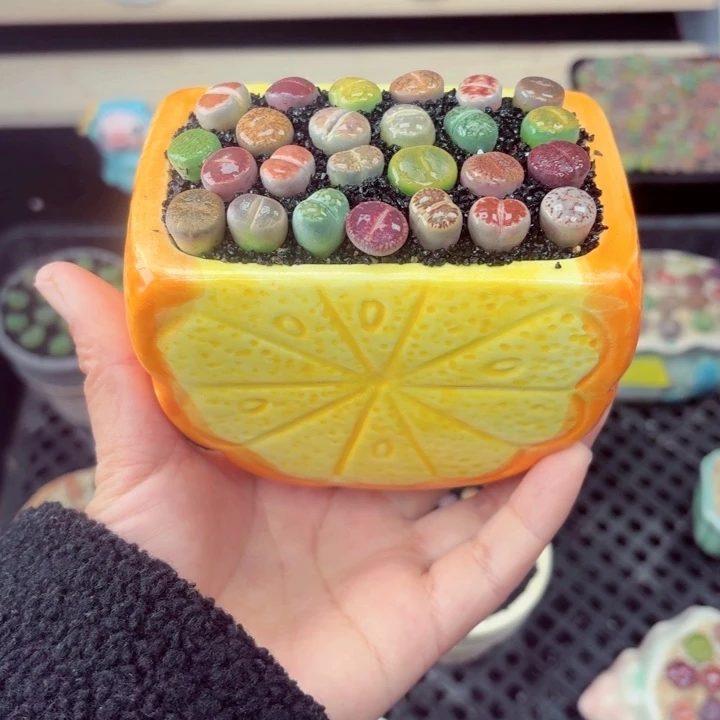 807零下地区记得拍保温箱满18包邮