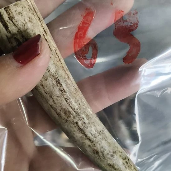 王***昱鹿角鹿角鹿角鹿角鹿角鹿角