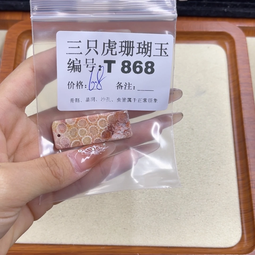 硅化珊瑚（珊瑚玉）h未镶嵌