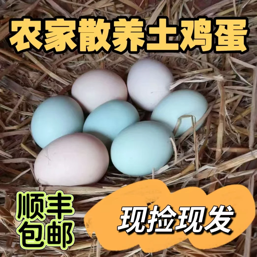 农家散养土鸡蛋农家散养土鸡蛋(顺丰正宗乡下土鸡蛋包邮)