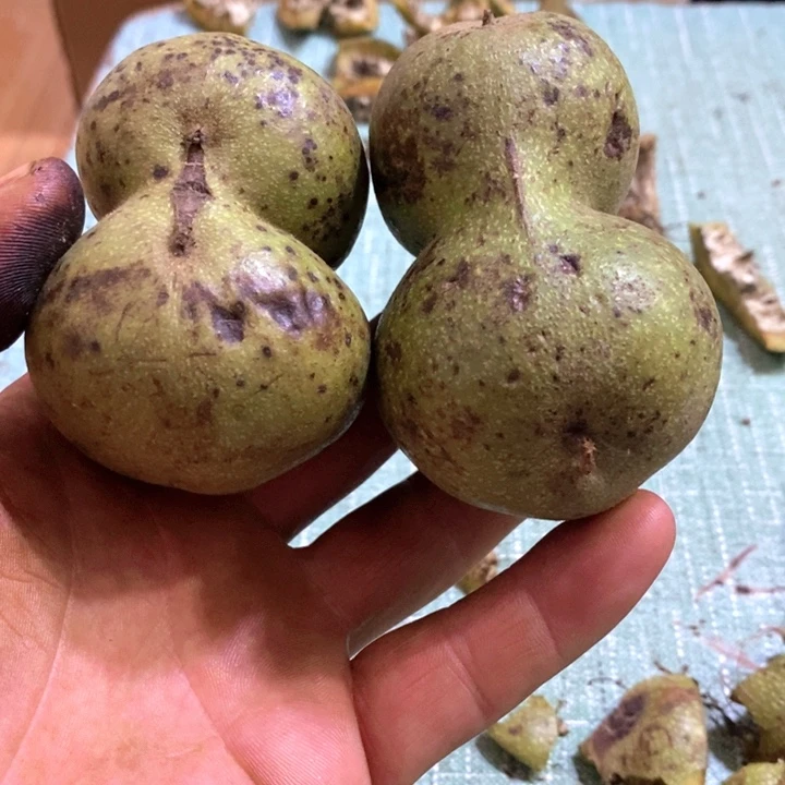 把件文玩核桃胖*