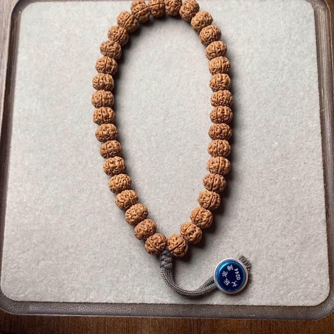 張***子金刚菩提手串老树王