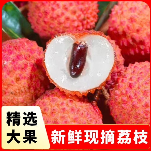 【顺丰冷链-正宗桂味】从化大岭山桂味荔枝新鲜水果（远地区链接）