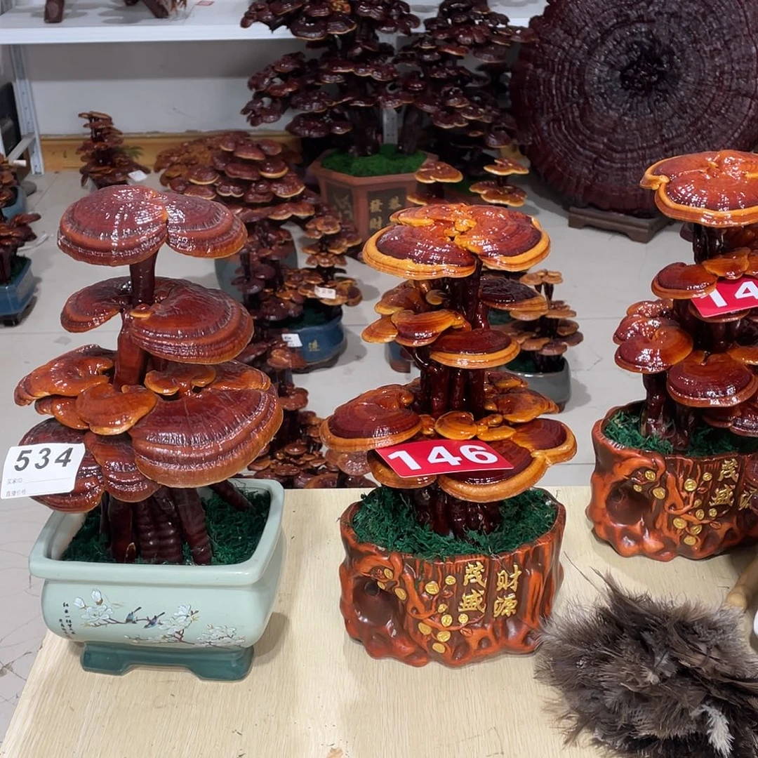 勇***无花朵888888888888