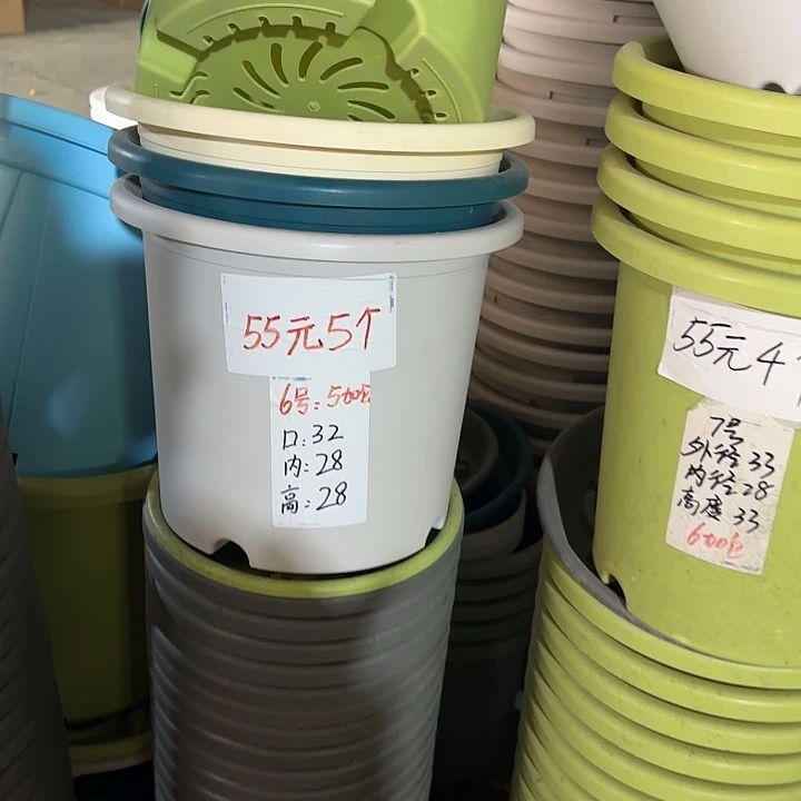 微瑕6#口径32无托果绿5个