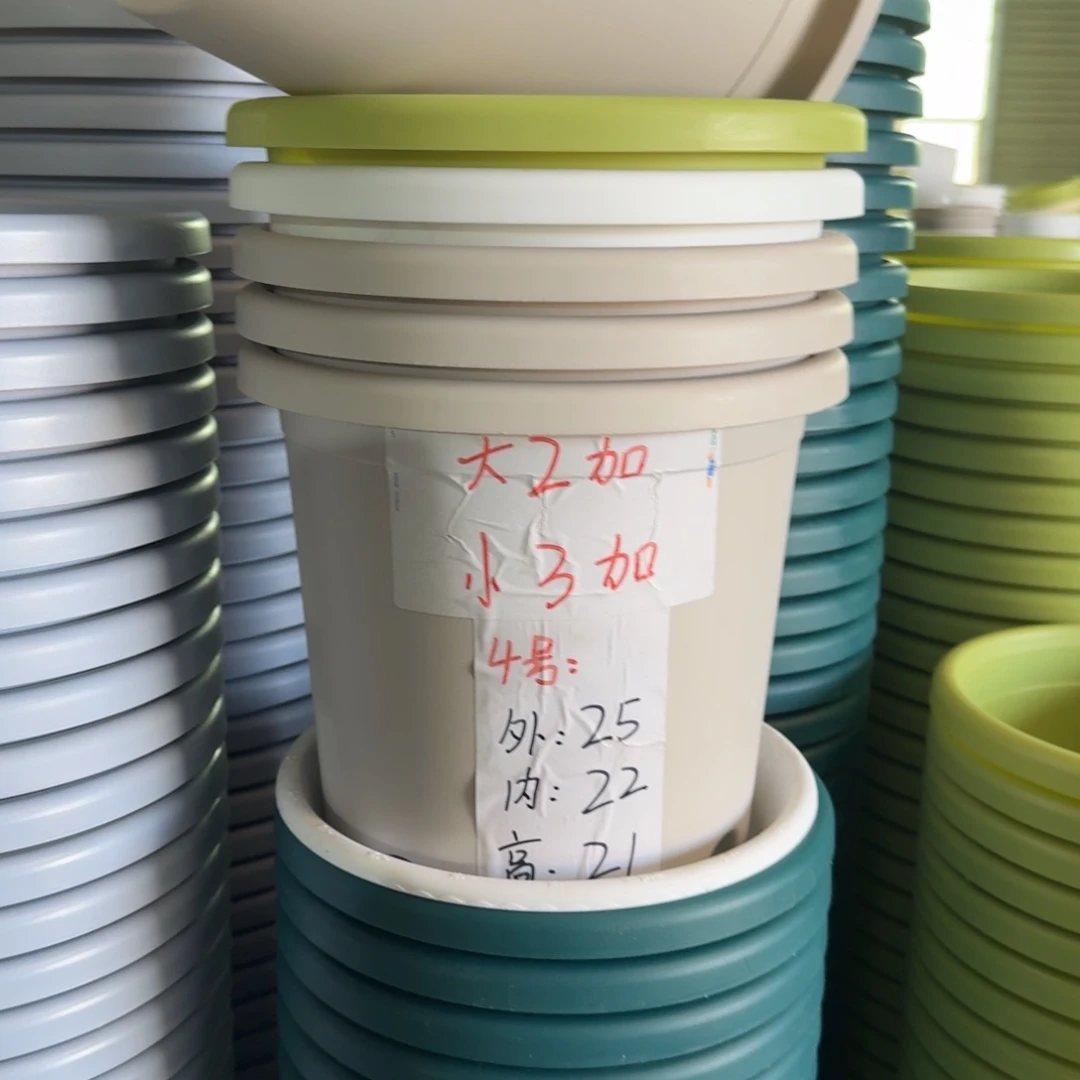 四季4#口径25无拖果绿8个