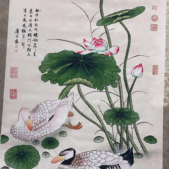 好***莲1111111111111111
