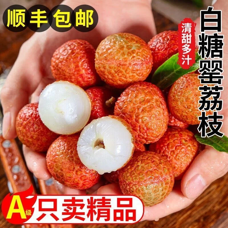 【顺丰冷链】高州白糖罂荔枝现摘现发新鲜多汁核小肉厚包邮【WXBX】