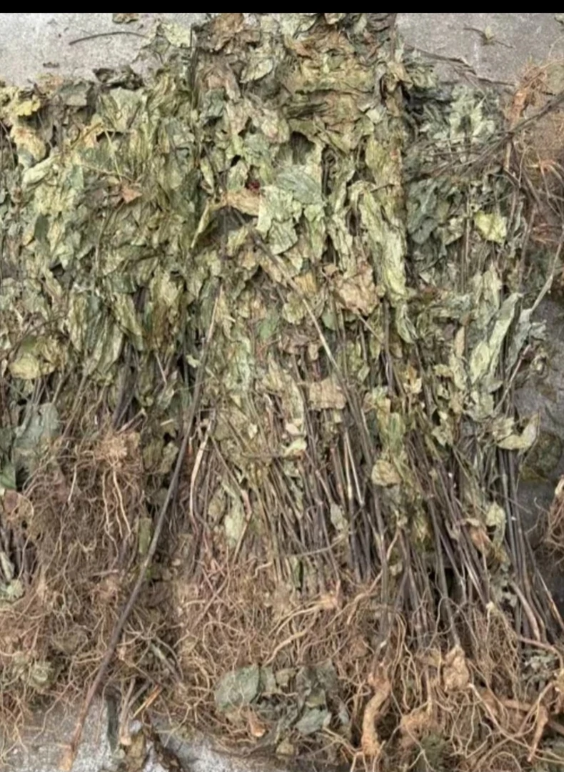 云南土特产 消、大、王 现收干货深山农产品 500g