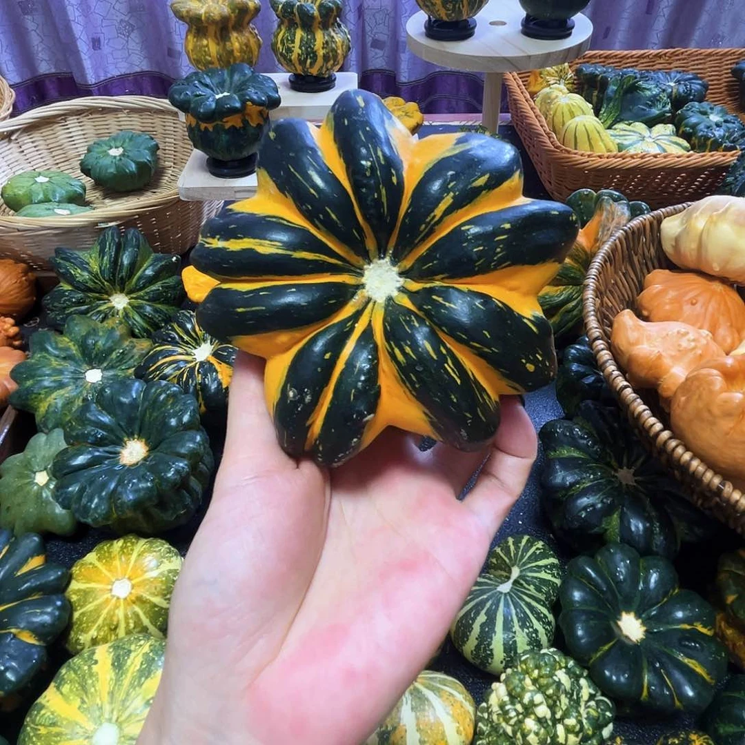 哈***子墨西哥哈哈哈哈哈哈哈哈哈哈