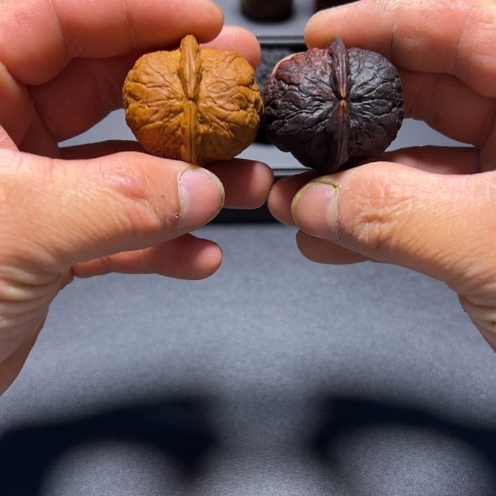 文玩核桃把件B铁鹦鹉39mm