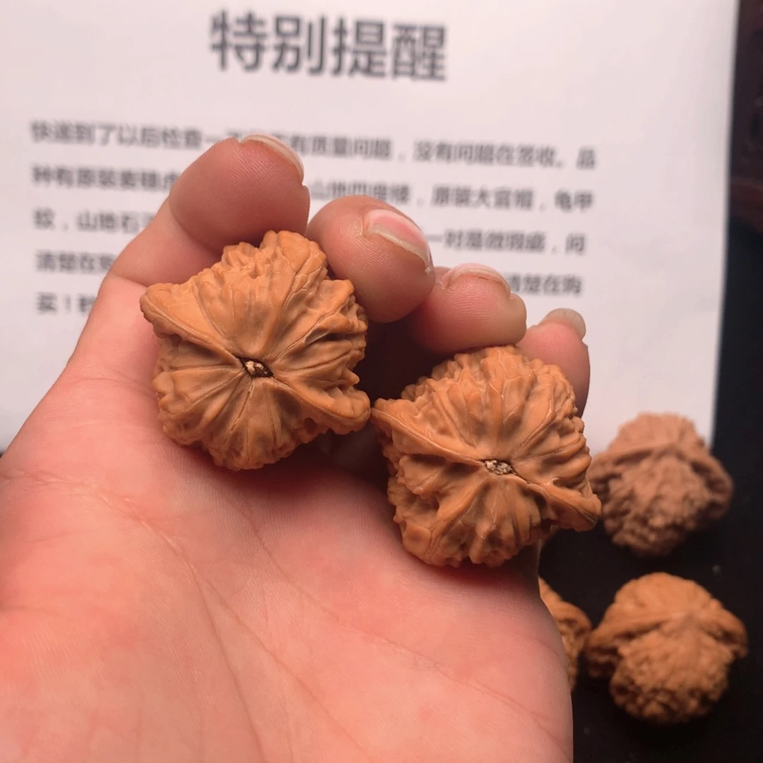 核桃磨盘狮子头阿啊阿啊阿啊阿啊