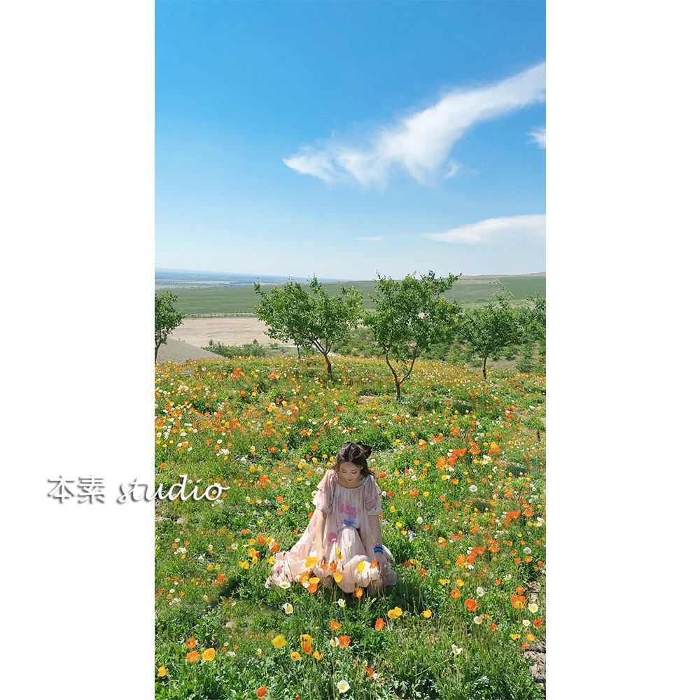 花海MNY2541印花荷叶边不规则方领短袖假两件连衣裙