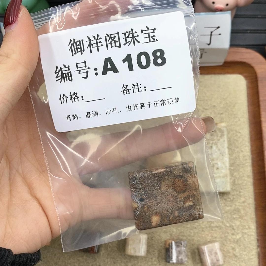 硅化珊瑚（珊瑚玉）A未镶嵌元*