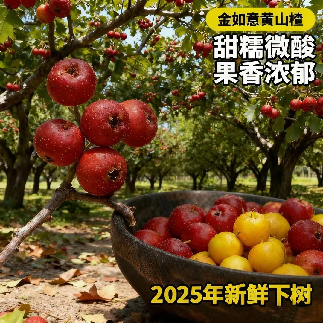 水果山楂晋甜红葫芦山楂山西产地新鲜直发顺丰包邮软糯香甜