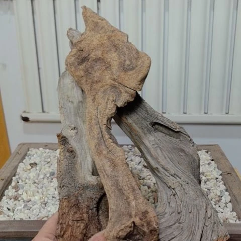 柏木（崖柏）培****工崖柏根艺根雕天然