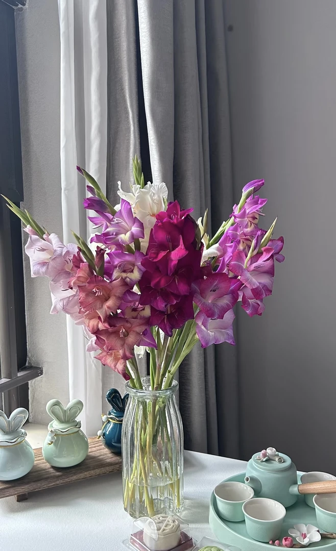 【葡璞专属】混色剑兰  6支   云南基地直发