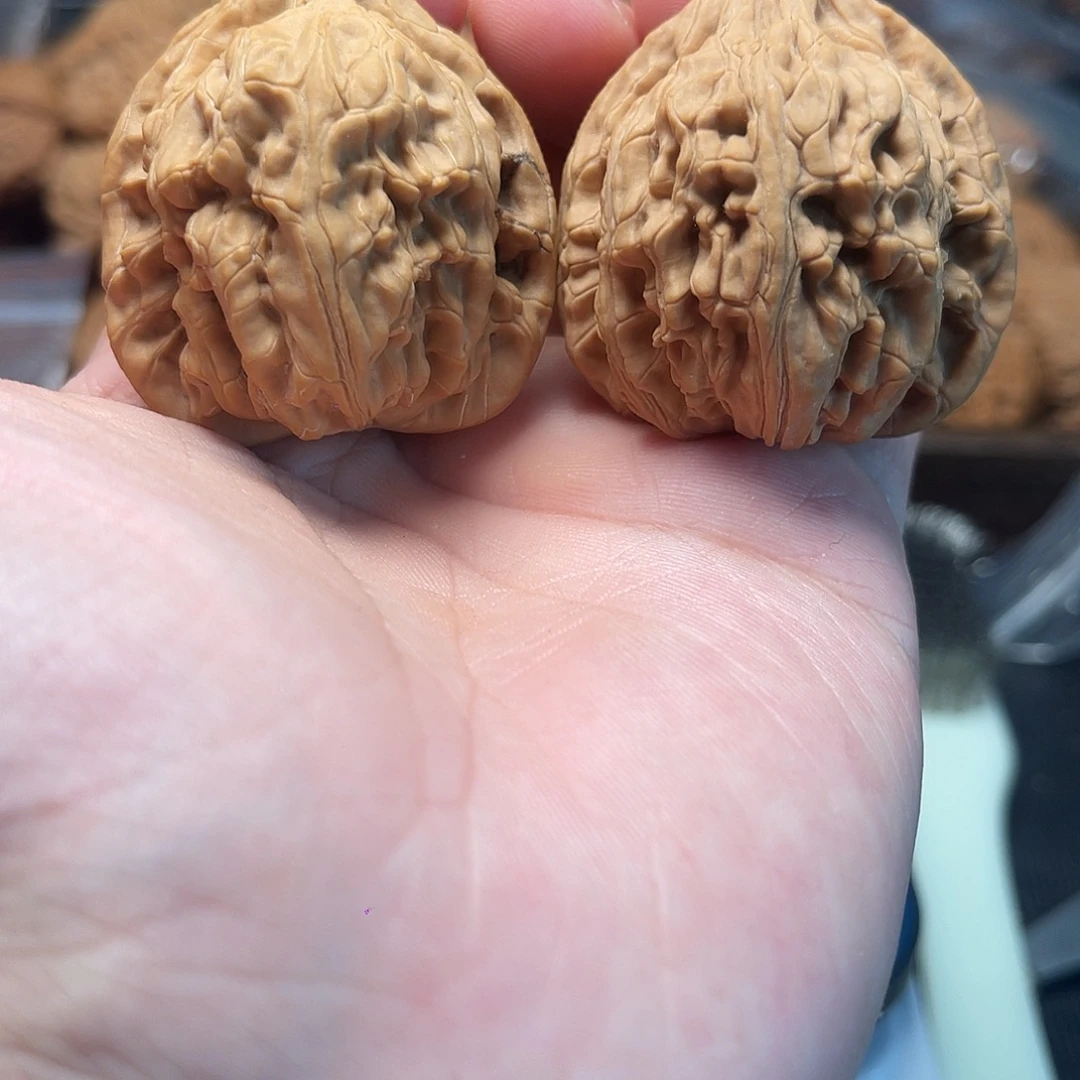 1文玩核桃龙门柱40-253