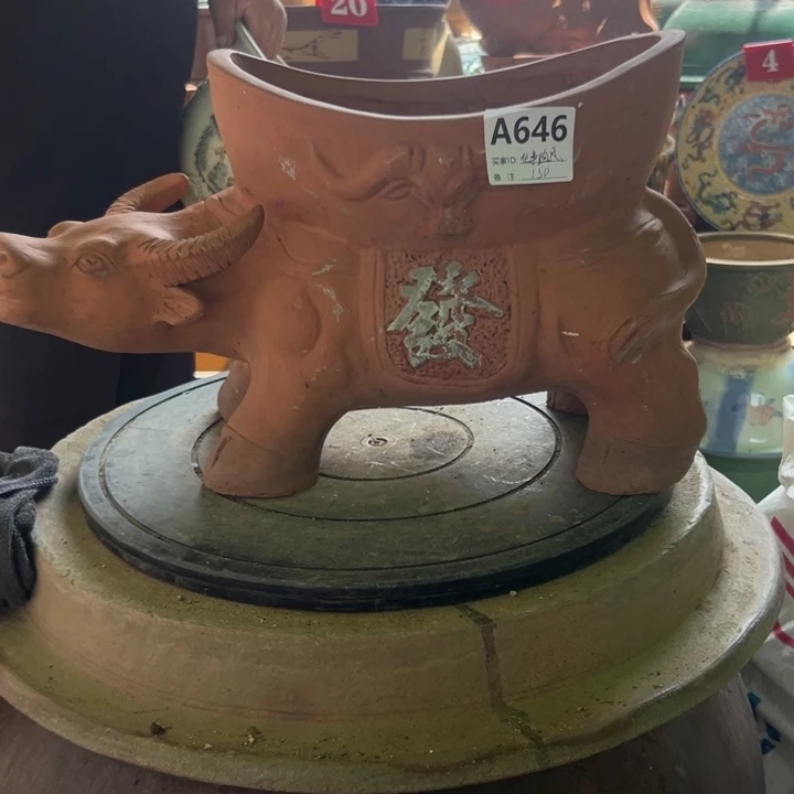 往***飘你说过敏子要好好照顾你